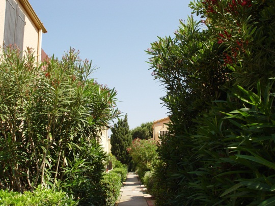 Unsere Ferienwohnung Unsere Ferienwohnung