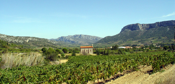 Côtes du Roussillon Villages