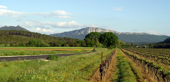 Côteaux du Languedoc Côteaux du Languedoc