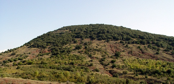 Coteaux du Languedoc, Le Terrasses du Larzac Coteaux du Languedoc, Le Terrasses du Larzac