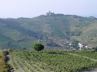 Entdecken Sie die Weine aus der Corbières