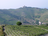 Entdecken Sie die Weine aus der Corbières Entdecken Sie die Weine aus der Corbières