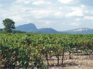 Ermitage du Pic Sant Loup Ermitage du Pic Sant Loup