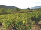 Les Vignerons de Maury Les Vignerons de Maury