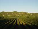 Domaine La Grange Léon Domaine La Grange Léon