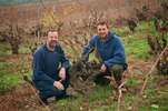 Domaine Ferrer Ribiere Domaine Ferrer Ribiere