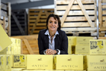 Antech Antech
